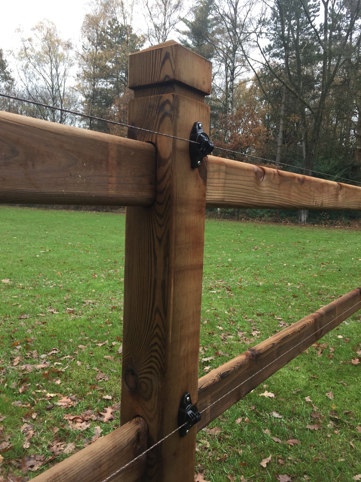 Paardenhouderij & sport